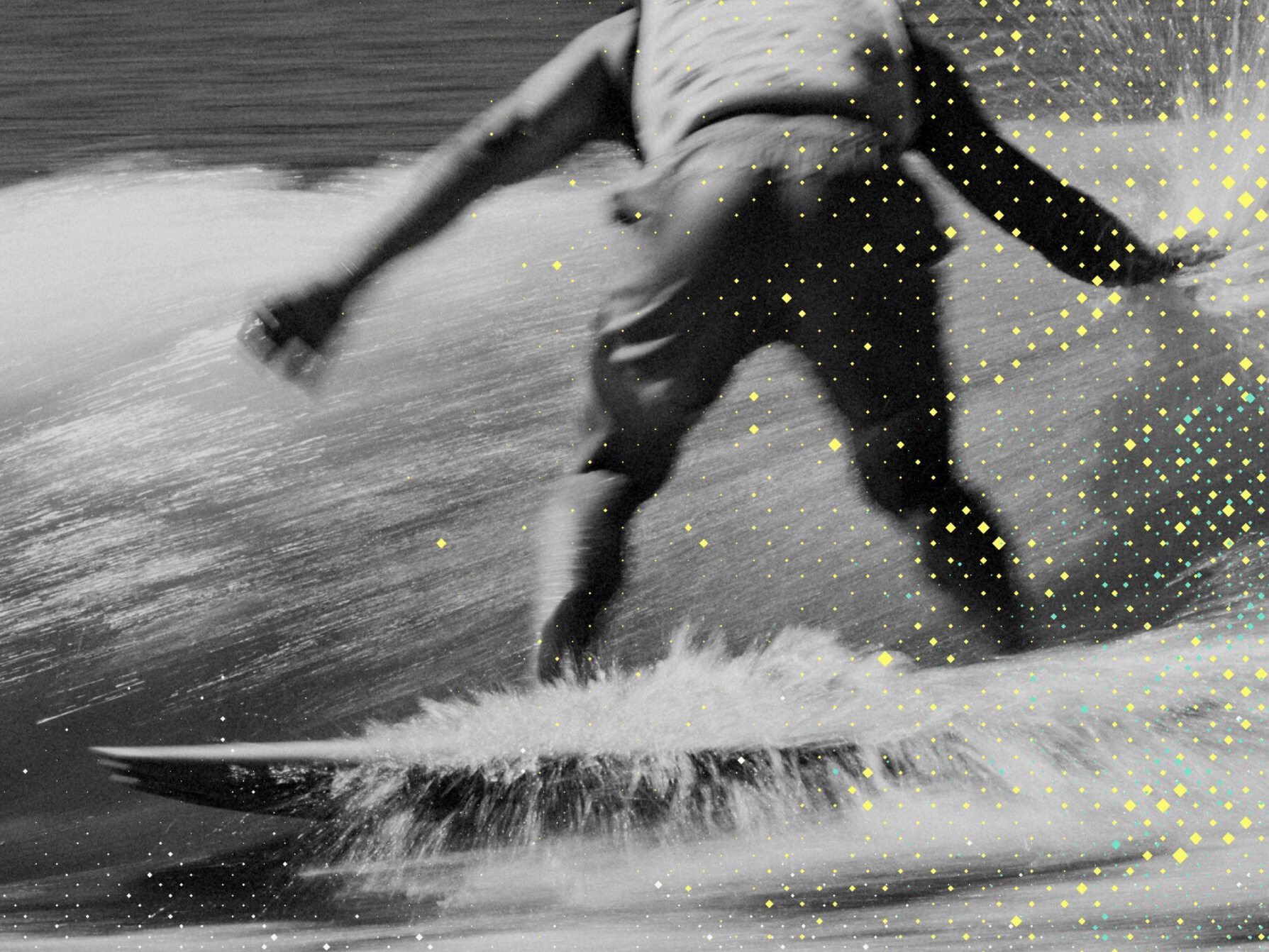 WSWS surfer
